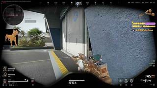 【小白鸽】先玩这个 再玩那个！