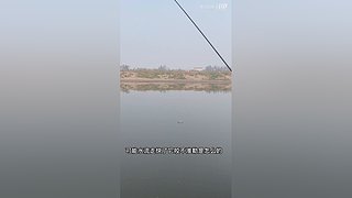 亮gnailux的直播间