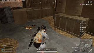 在线划水——风起矣