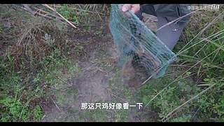 娱乐大于一切 10440627