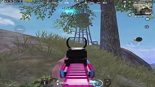 月殿玉兔直播间