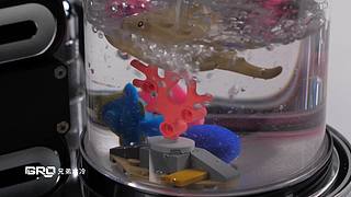 【BRO】高端分体水冷直播装机