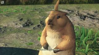 10996111的直播间