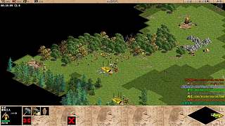 龙泉疯子的直播间