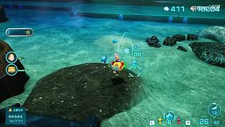 上班了，随缘直播，感谢各位支持！