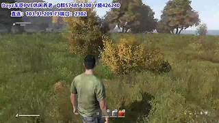 2026，QG休闲PVE强势来袭1.29