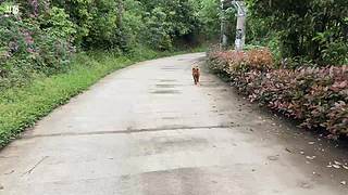 迎接新的开始加油！