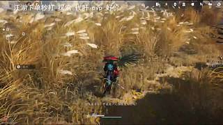 今天是开心的一天呐