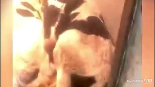 星球大战前线2玩玩看。