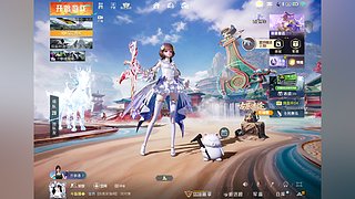 上王牌的菜小猫