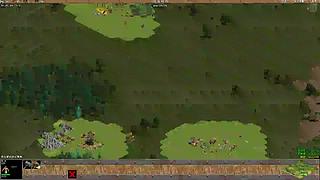 灰心闲鱼的直播间