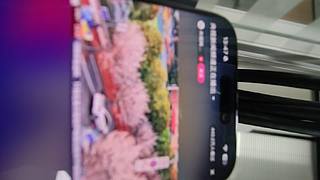 问问而已o别动的直播间