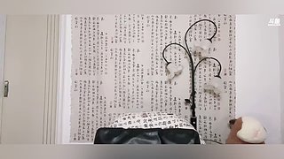 修身养性的一天