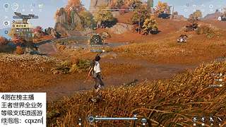 帮肝等级支线探索