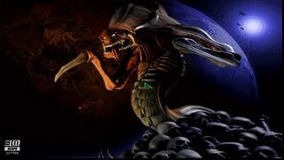 专业百搭路人局。