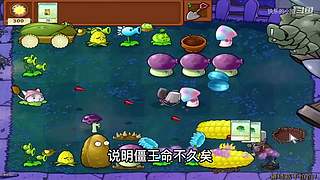 宝子们，开席了！