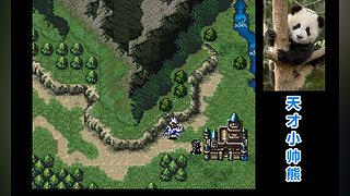 天才小帅熊的直播间