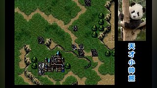 天才小帅熊的直播间