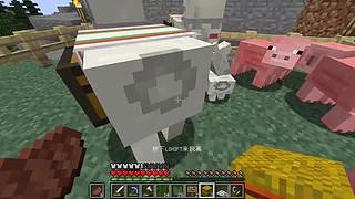 今天终于买到豆腐了！