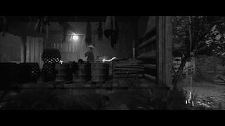 在夏威夷寻找one piece 回来在播