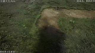 电影级画质，失眠者福音~