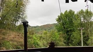 【小奶团】采茶小妹上线啦～