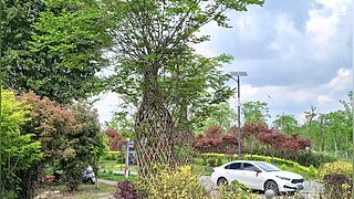 巡逻散步减肥聊天室