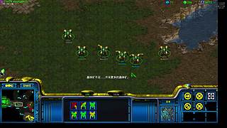 mtn猴子星际争霸