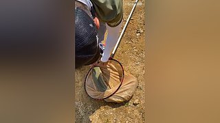 亮gnailux的直播间