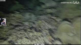 中午十一点前见~