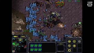 诸葛酒神曲的直播间