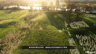 帝国时代4战役剧情