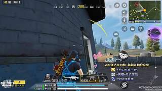 国服第一AKS大师小菜鸡