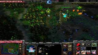 魔兽达尔文进化岛直播间