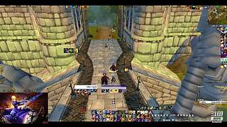 供我家菜狗子观光