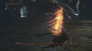 TOM的直播间 8406689