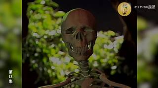 港式西游经典解说中