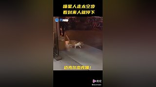 来一起麻将玩起来嘛