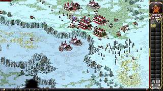 菜鸟互啄..... 9205757