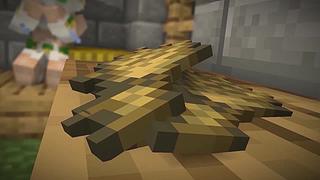 南石带你看不一样的《我的世界》