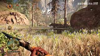 【逍遥小枫】各种好玩的《独立游戏》实况！