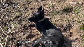 大庆在农村的直播间