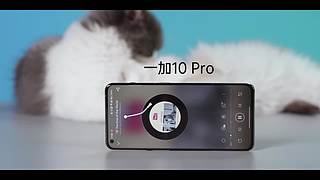 HotGuys频道的直播间