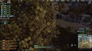 徐海 夏~看我看我