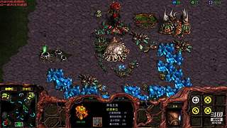 暴风虫族Ameba教你玩转星际争霸I