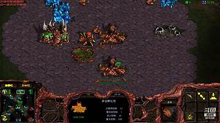 暴风虫族Ameba教你玩转星际争霸I