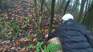 乡土记食的直播间