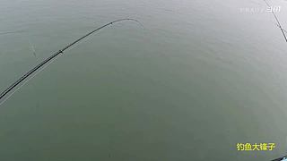 感谢钓友关注，每天分享鱼乐