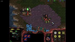 星际争霸飞天频道 10355473