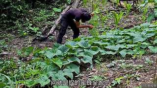 越南小哥的丛林生活